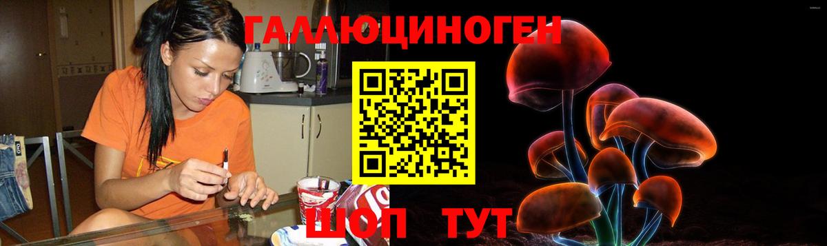 Феодосия  Галлюциногенные грибы Psilocybine cubensis  Вход с VPN 
